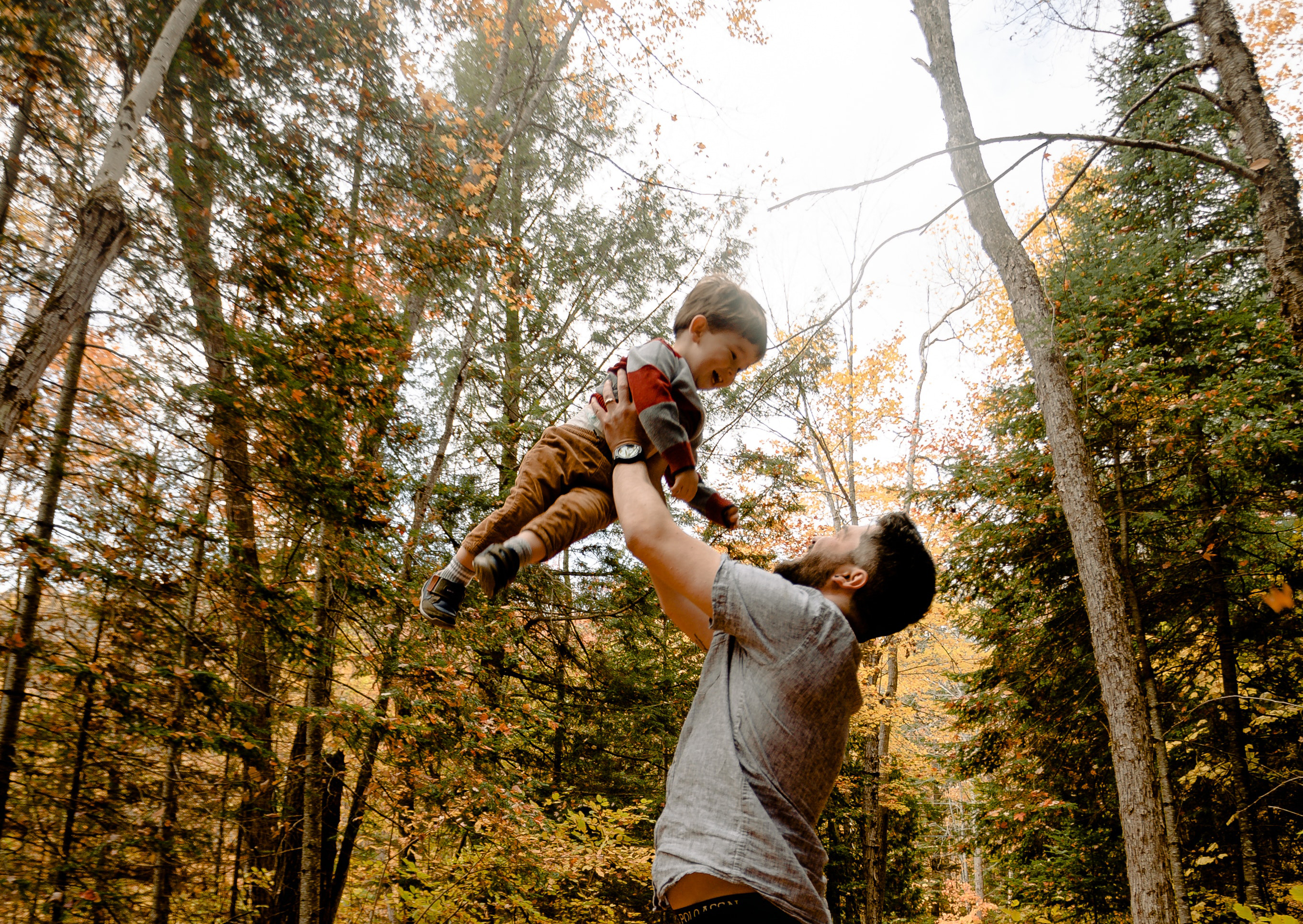 adult-autumn-autumn-leaves-3074937