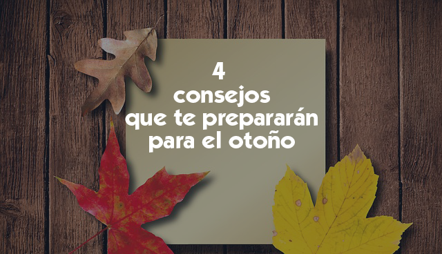otoño en la oficina